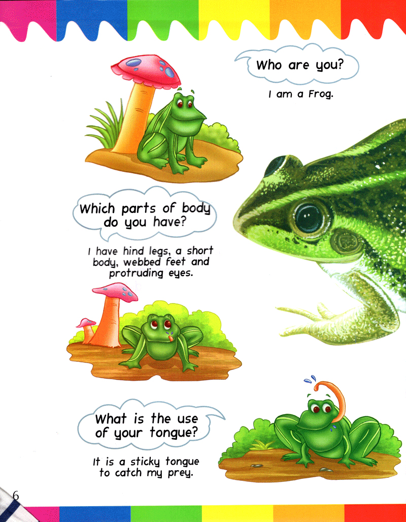 my first questions & answers - reptiles & amphibians - Ảnh 5