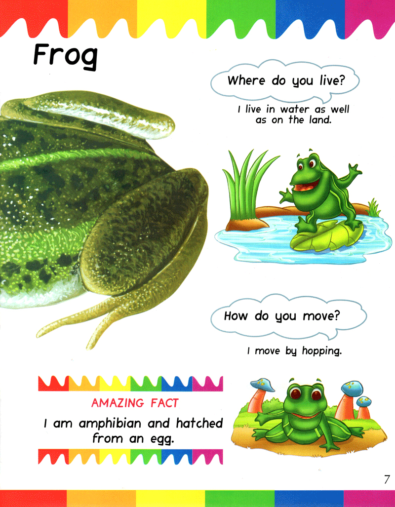 my first questions & answers - reptiles & amphibians - Ảnh 6