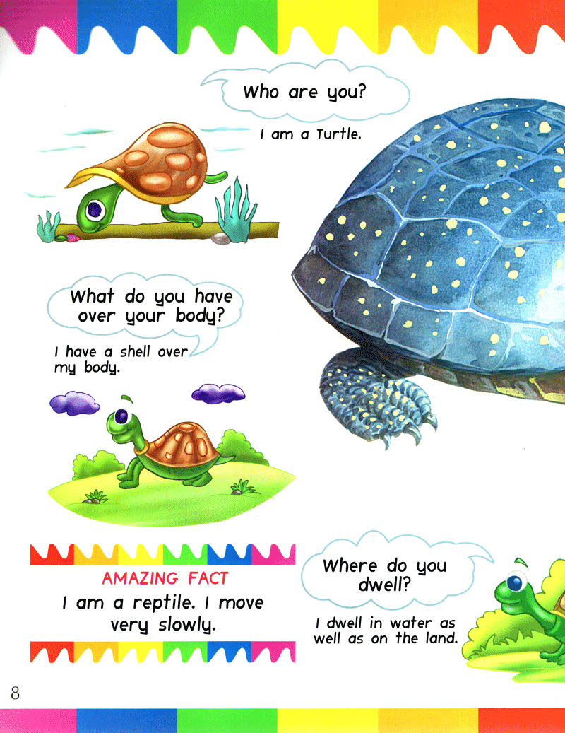 my first questions & answers - reptiles & amphibians - Ảnh 7