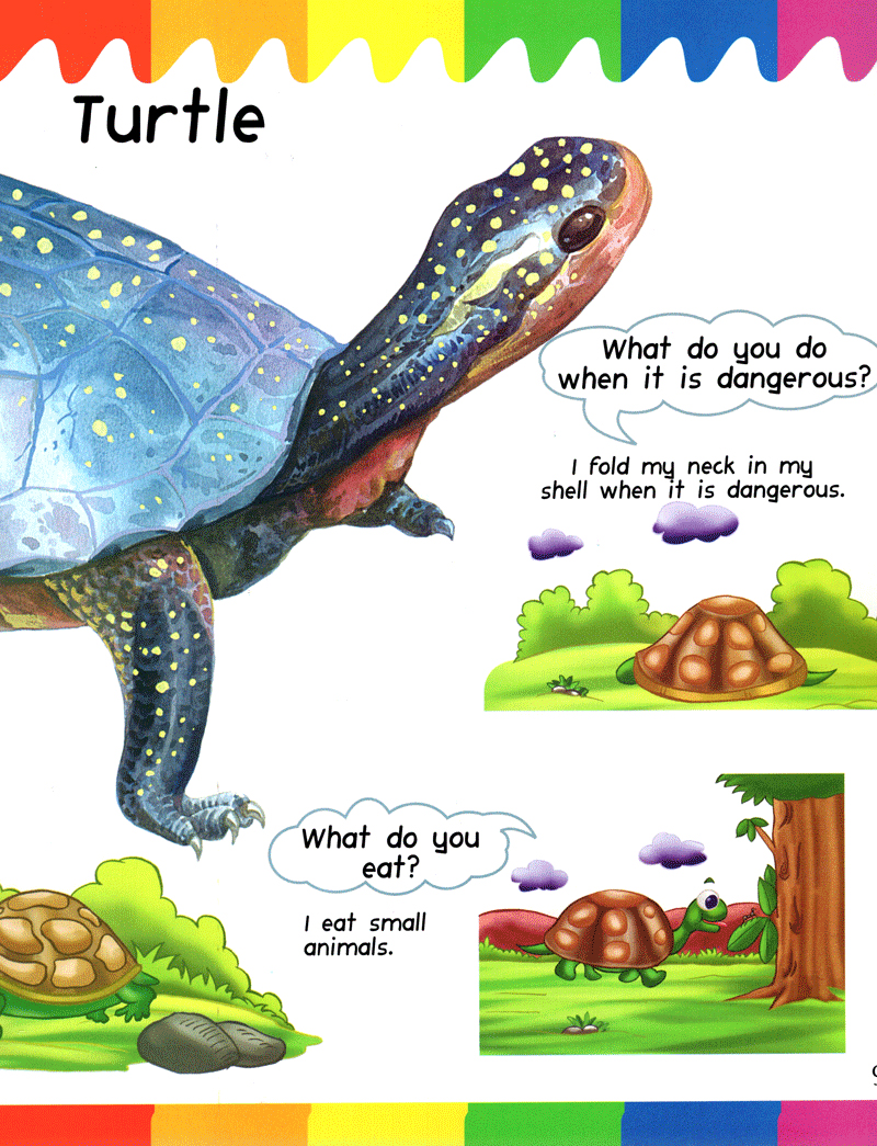 my first questions & answers - reptiles & amphibians - Ảnh 8