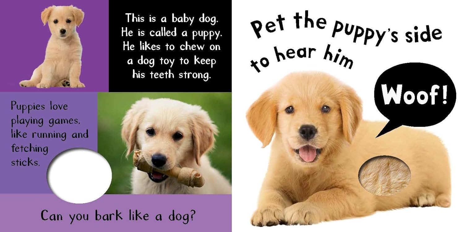 My First Touch And Feel Sound Book - Noisy Baby Animals - Ảnh 3