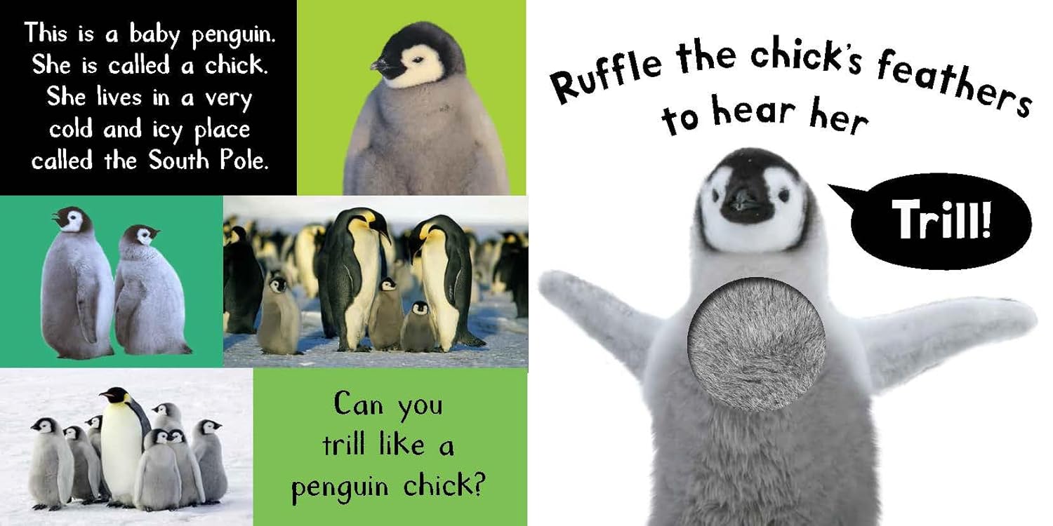 My First Touch And Feel Sound Book - Noisy Baby Animals - Ảnh 4