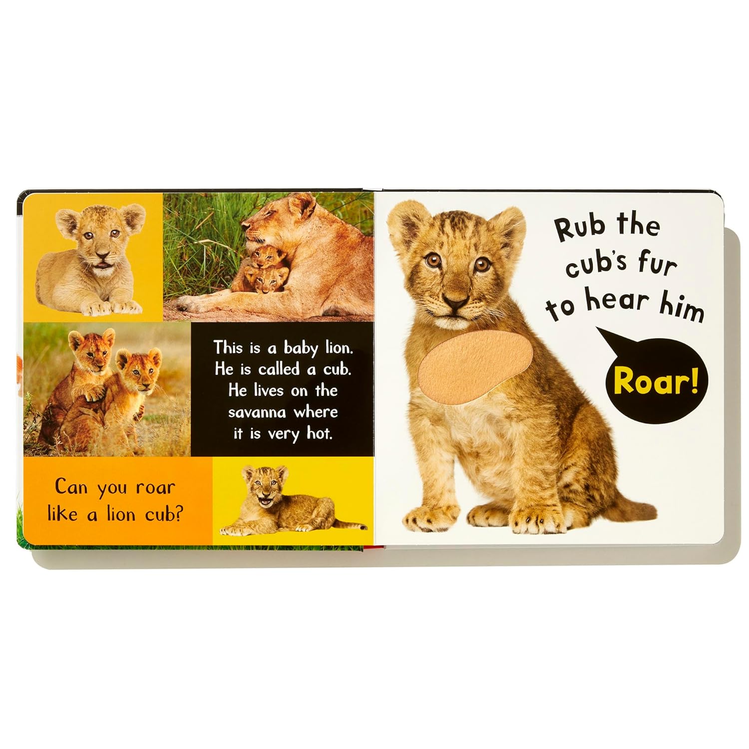 My First Touch And Feel Sound Book - Noisy Baby Animals - Ảnh 5