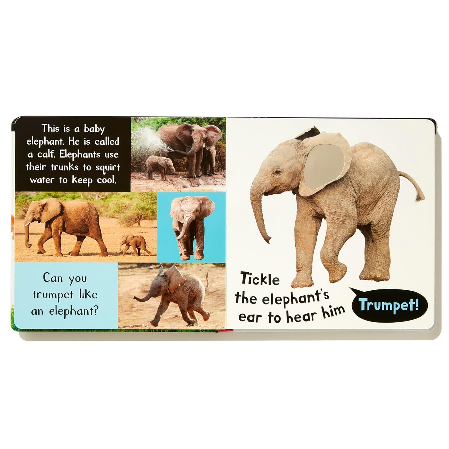 My First Touch And Feel Sound Book - Noisy Baby Animals - Ảnh 6