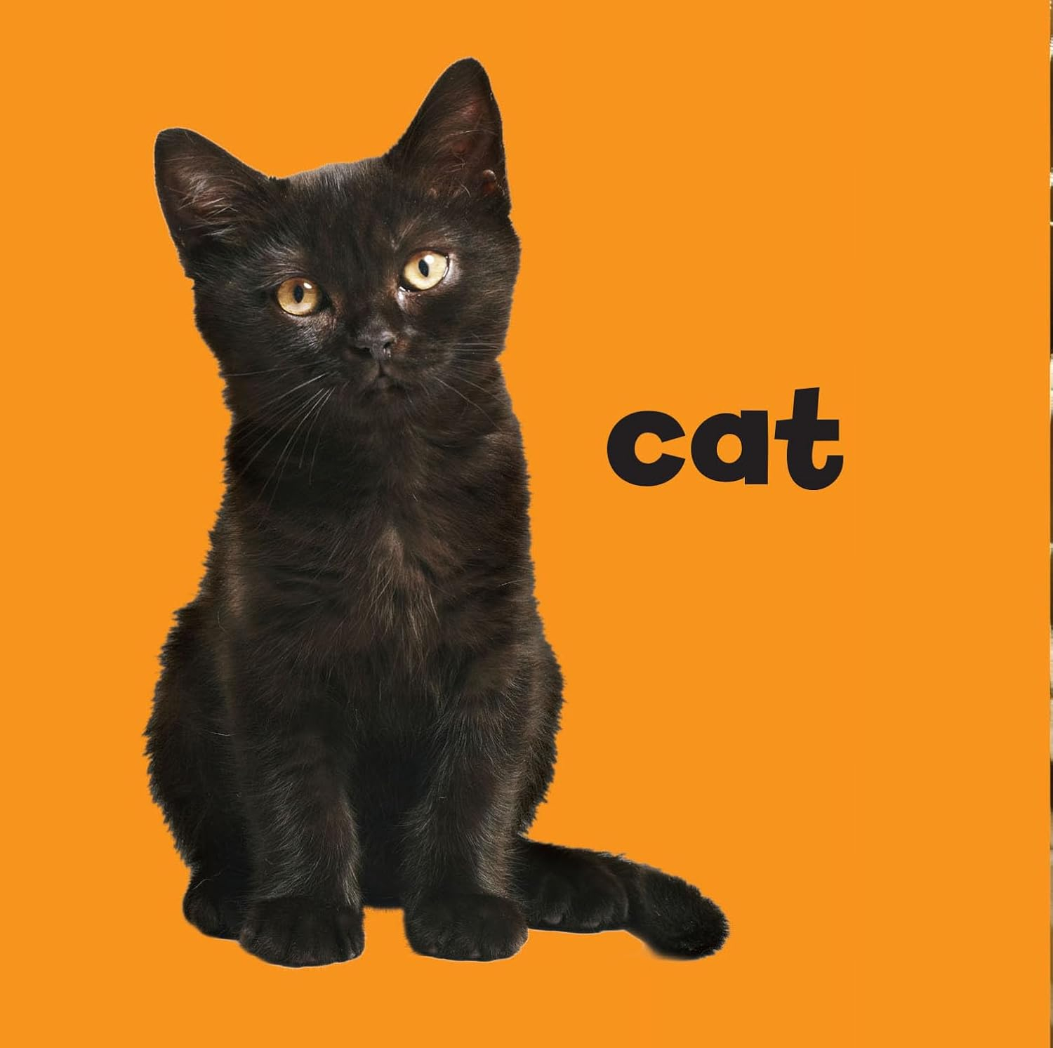 my first trick or treat - Ảnh 6