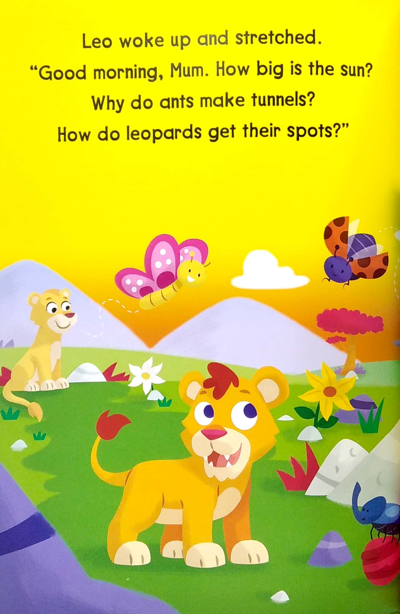 my jungle story - Ảnh 5