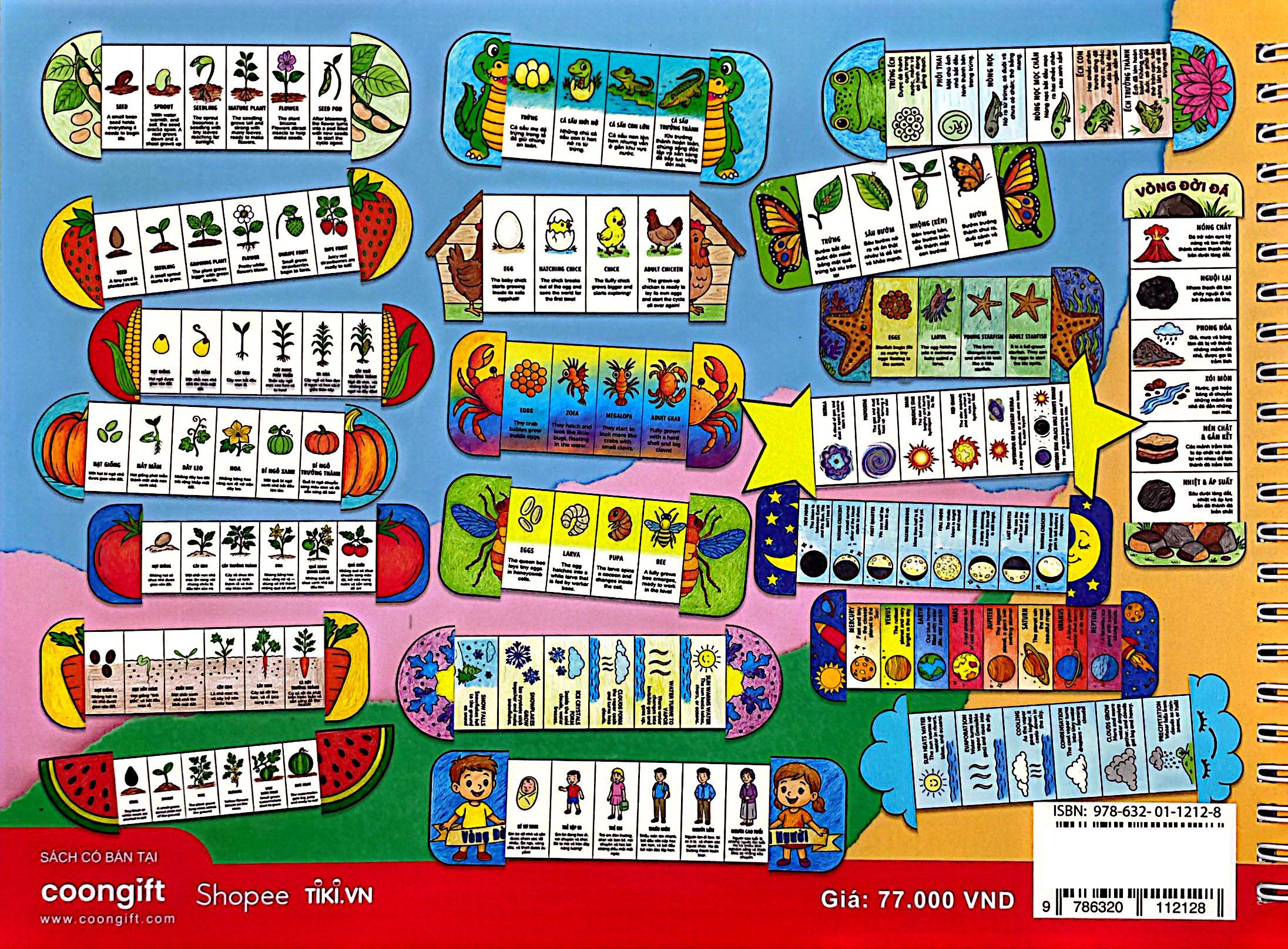 My Life Cycle Activity Book - Vòng Đời Kỳ Diệu - Khám Phá Tự Nhiên Qua Tô Màu, Cắt Dán, Và Gấp - Ảnh 12