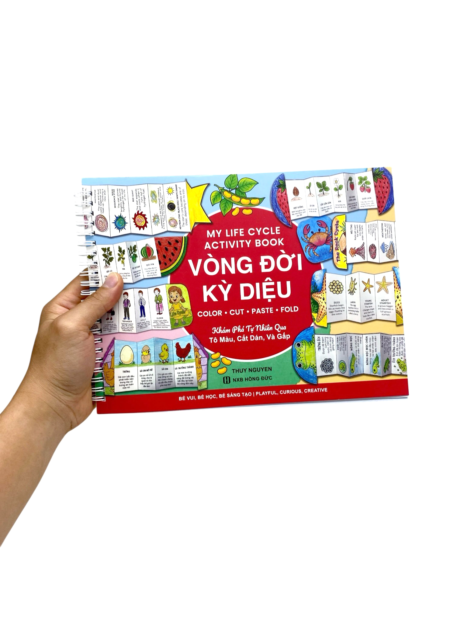 My Life Cycle Activity Book - Vòng Đời Kỳ Diệu - Khám Phá Tự Nhiên Qua Tô Màu, Cắt Dán, Và Gấp - Ảnh 13