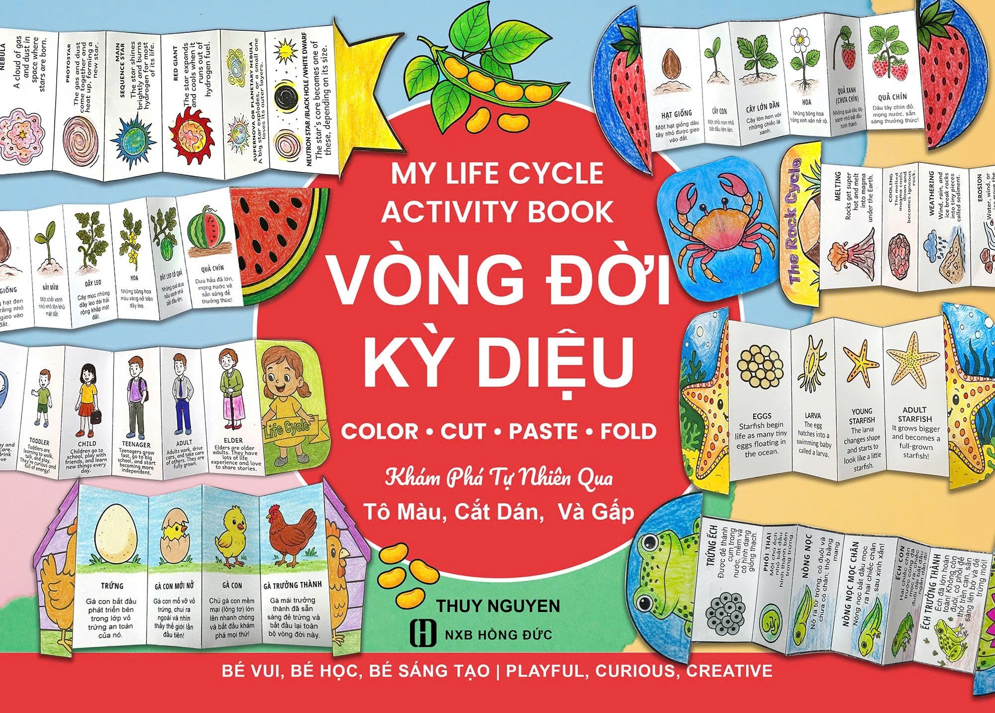 My Life Cycle Activity Book - Vòng Đời Kỳ Diệu - Khám Phá Tự Nhiên Qua Tô Màu, Cắt Dán, Và Gấp - Ảnh 2