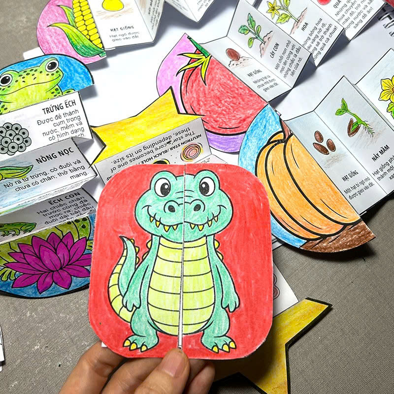 My Life Cycle Activity Book - Vòng Đời Kỳ Diệu - Khám Phá Tự Nhiên Qua Tô Màu, Cắt Dán, Và Gấp - Ảnh 3