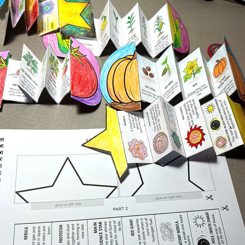 My Life Cycle Activity Book - Vòng Đời Kỳ Diệu - Khám Phá Tự Nhiên Qua Tô Màu, Cắt Dán, Và Gấp - Ảnh 4