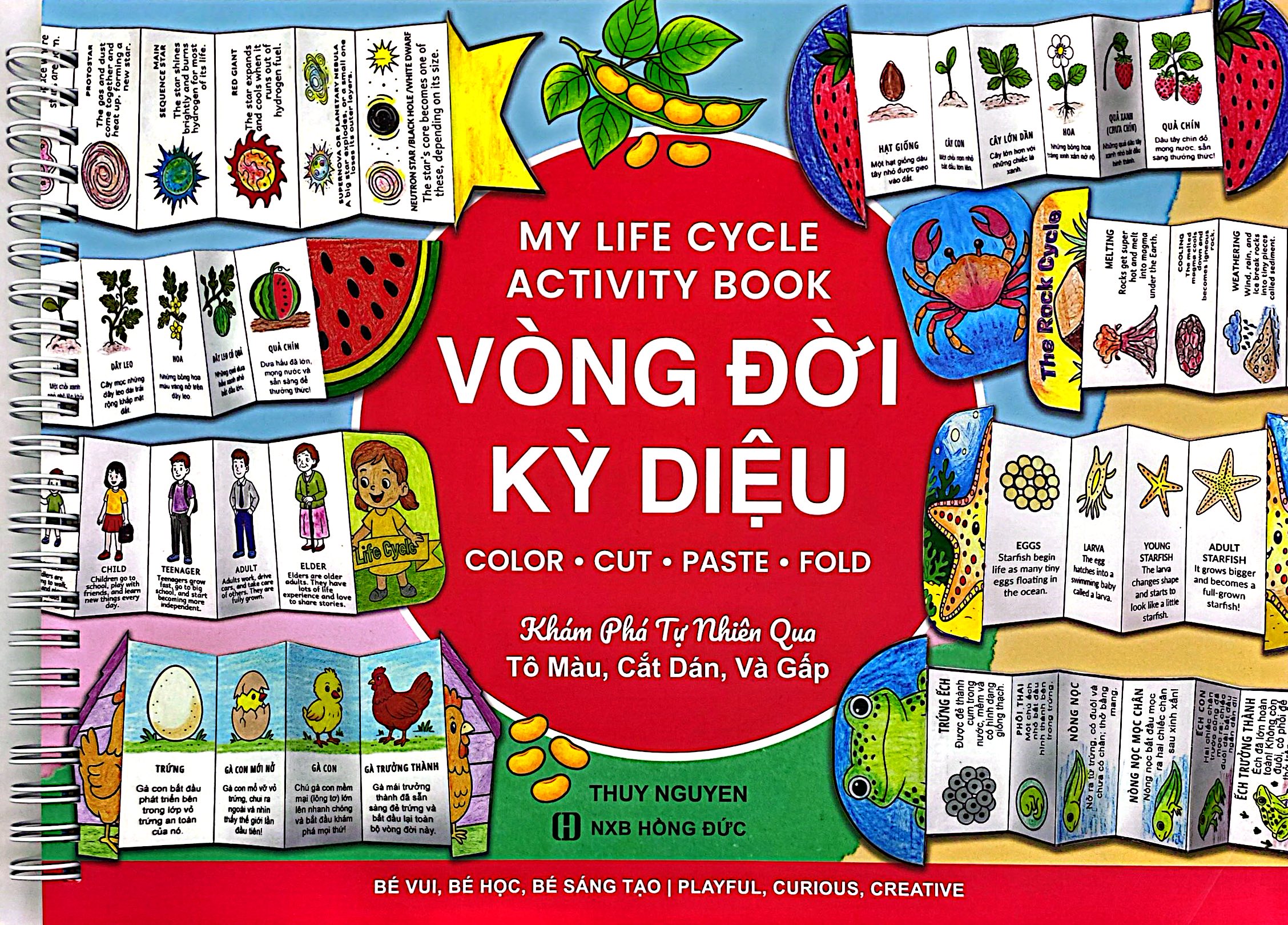 My Life Cycle Activity Book - Vòng Đời Kỳ Diệu - Khám Phá Tự Nhiên Qua Tô Màu, Cắt Dán, Và Gấp - Ảnh 6