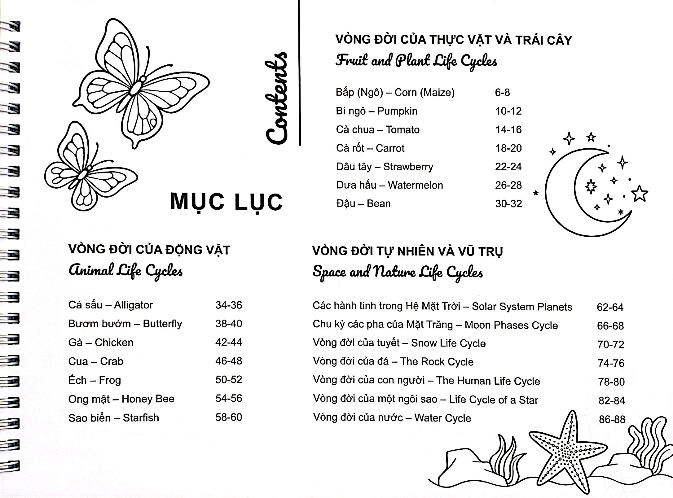 My Life Cycle Activity Book - Vòng Đời Kỳ Diệu - Khám Phá Tự Nhiên Qua Tô Màu, Cắt Dán, Và Gấp - Ảnh 9