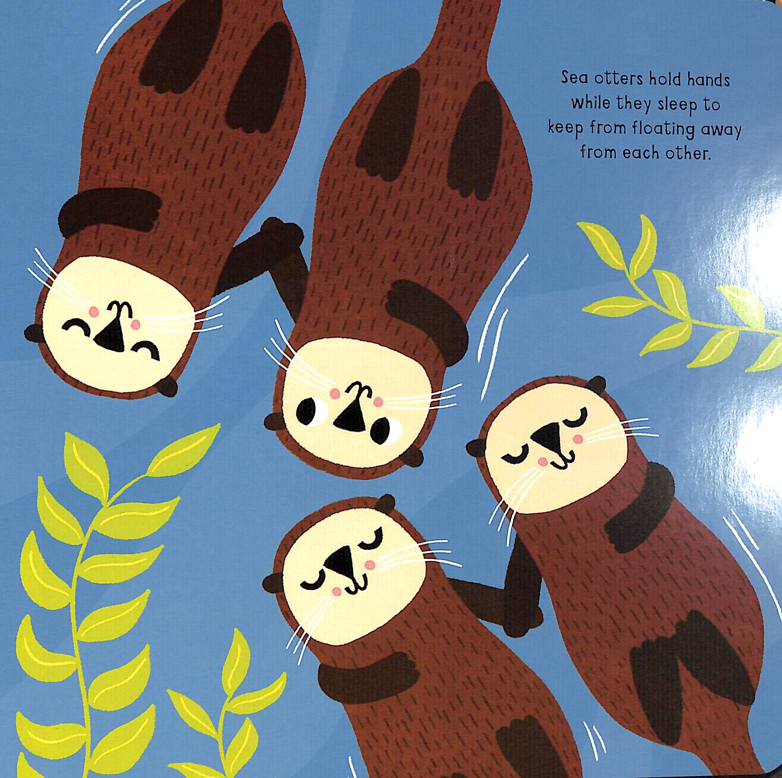 my little ocean explorer: mirror book - Ảnh 3