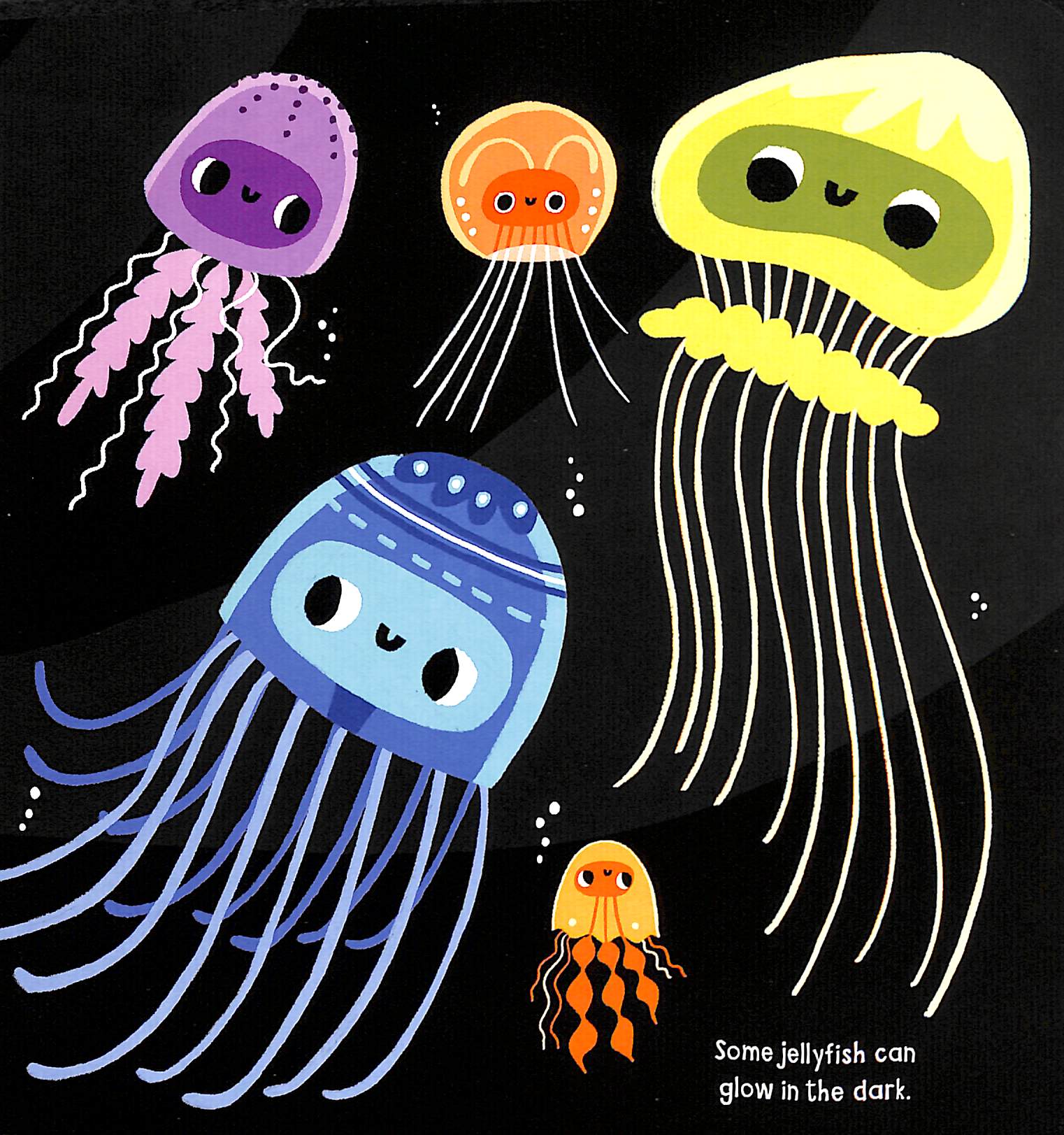 my little ocean explorer: mirror book - Ảnh 4