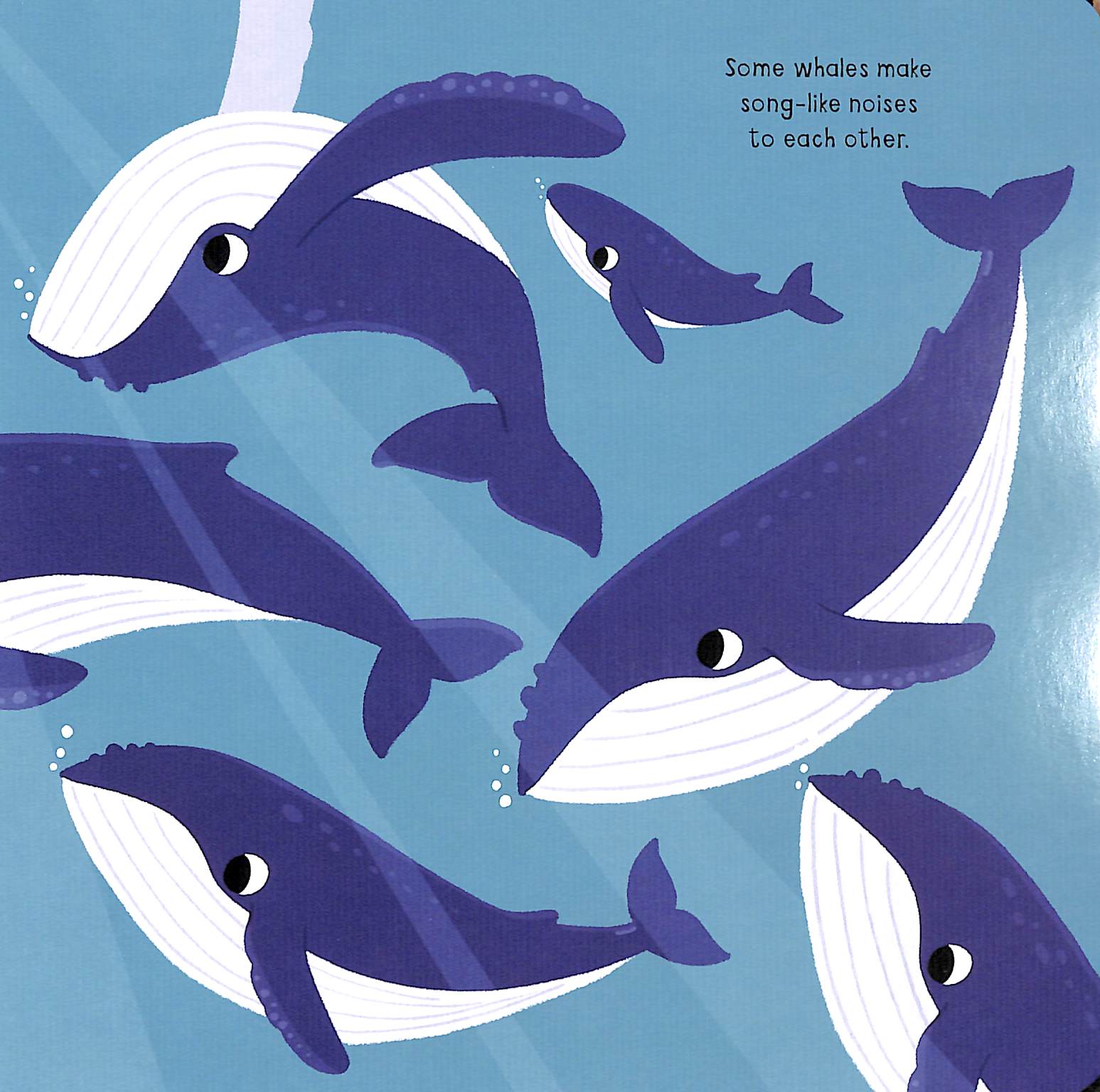 my little ocean explorer: mirror book - Ảnh 5