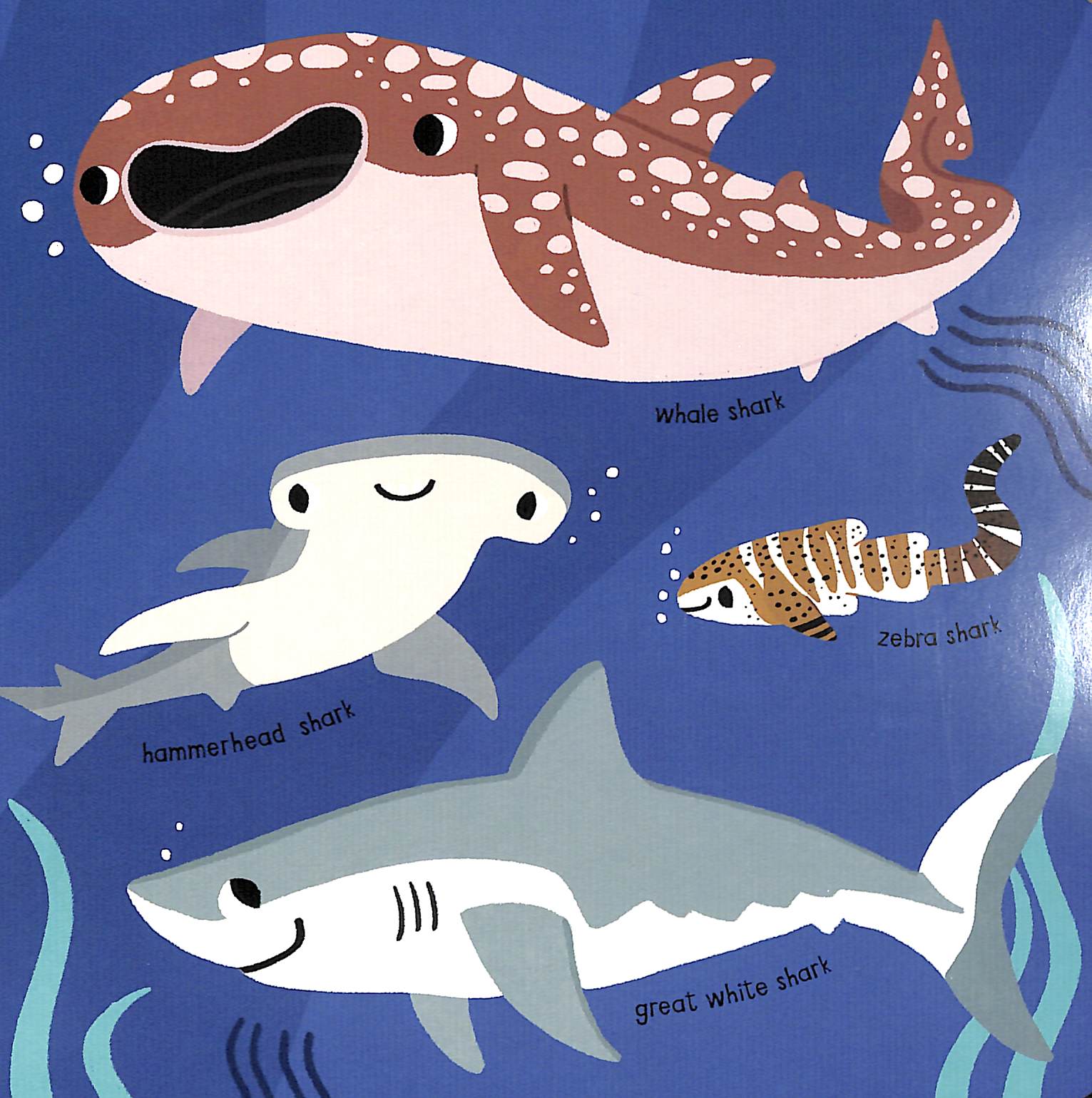 my little ocean explorer: mirror book - Ảnh 7