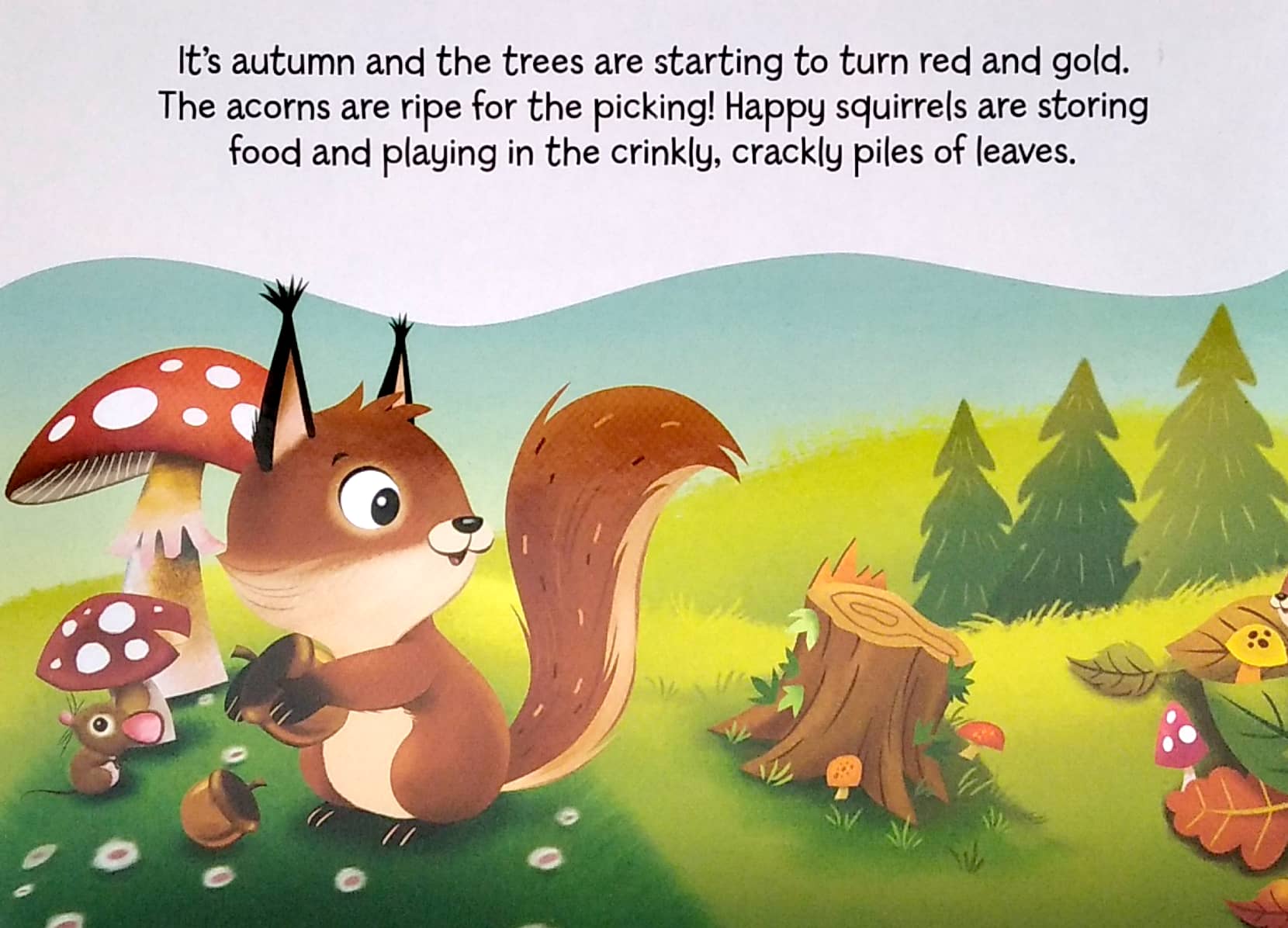 my mini busy book: friendly forest - Ảnh 22