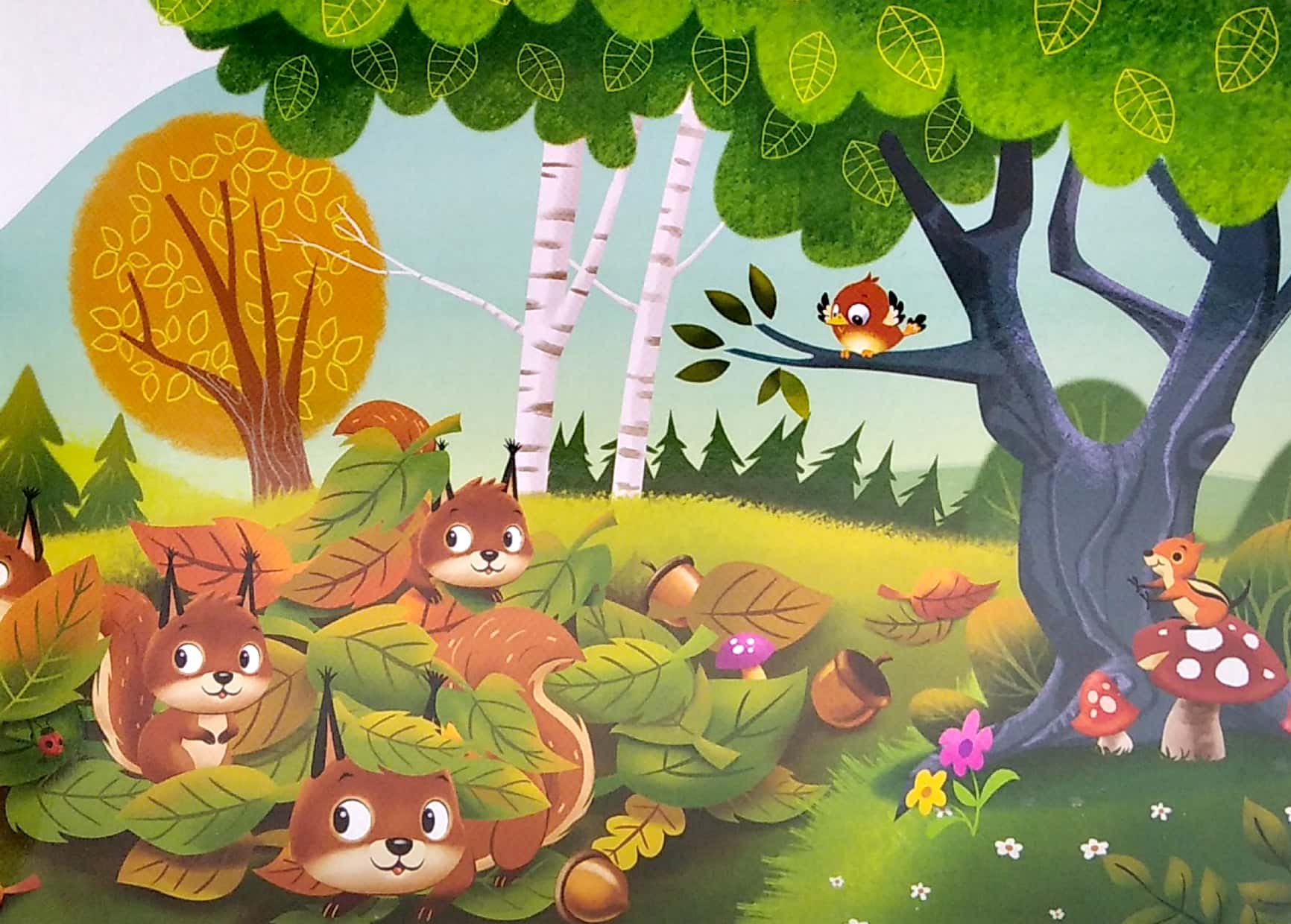 my mini busy book: friendly forest - Ảnh 6