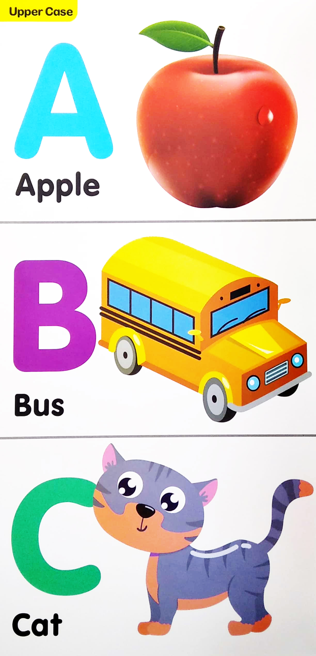 my mini giant: alphabet upper case , lower case & numbers - Ảnh 3