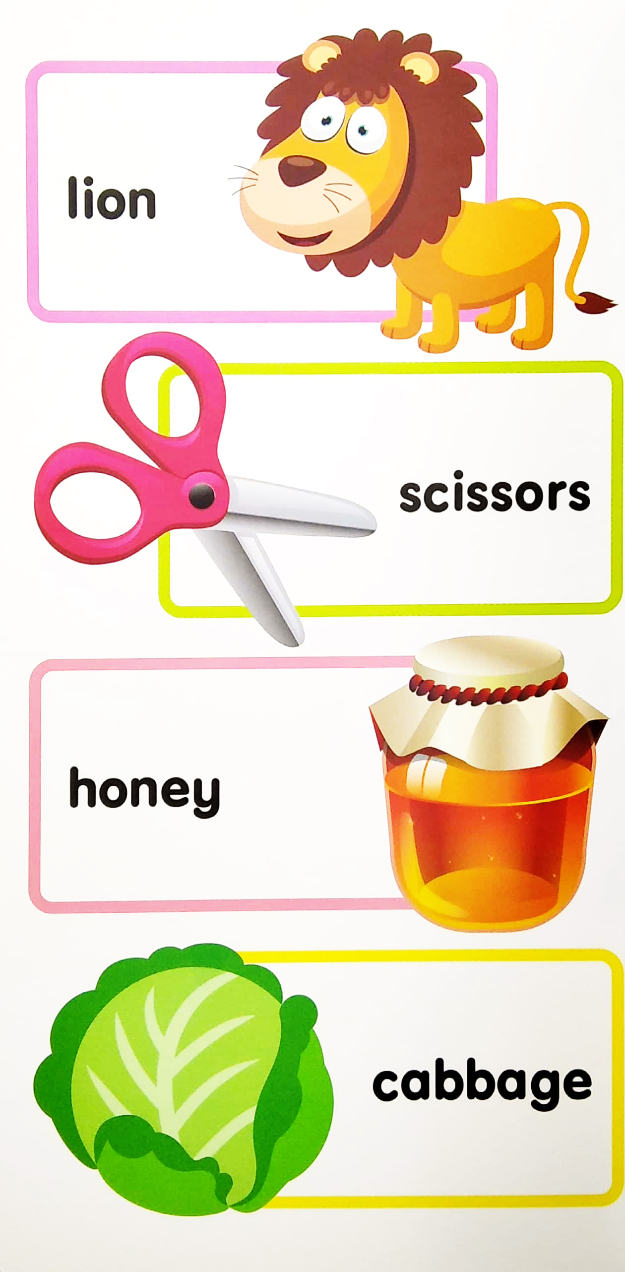 my mini giant: my first 100 words - Ảnh 3