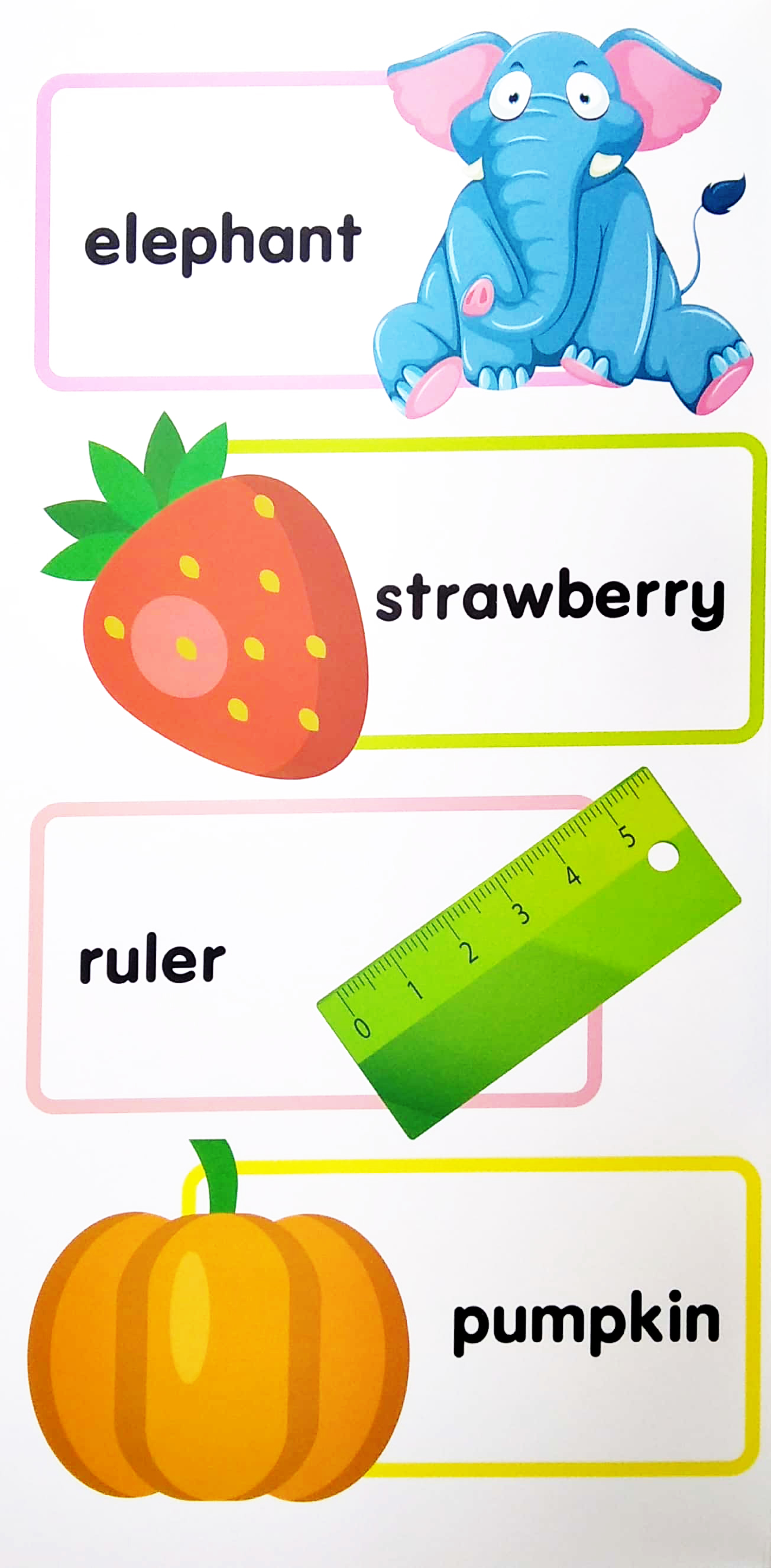 my mini giant: my first 100 words - Ảnh 5