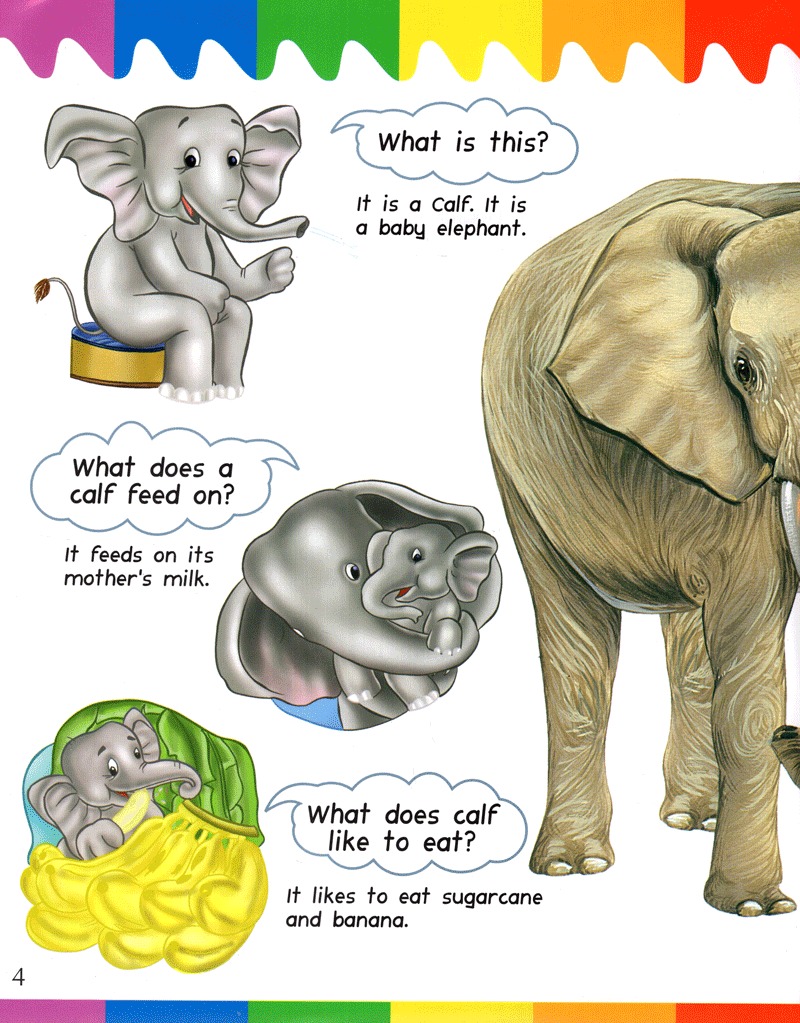 my question and answers - baby animals - Ảnh 4