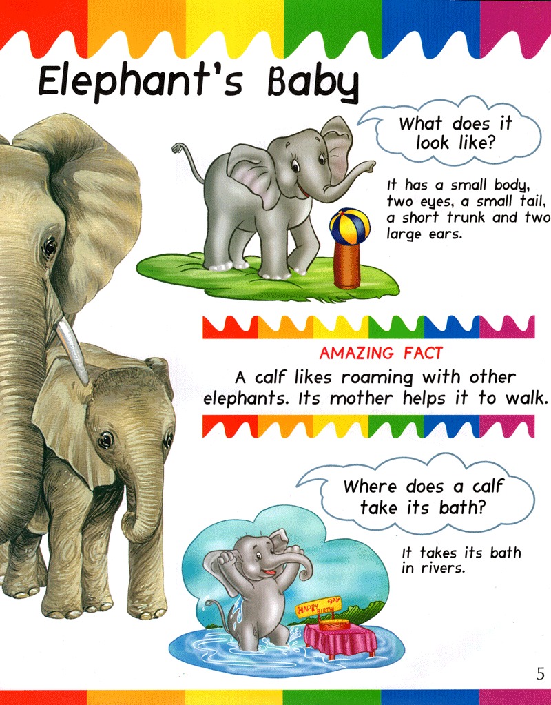 my question and answers - baby animals - Ảnh 5