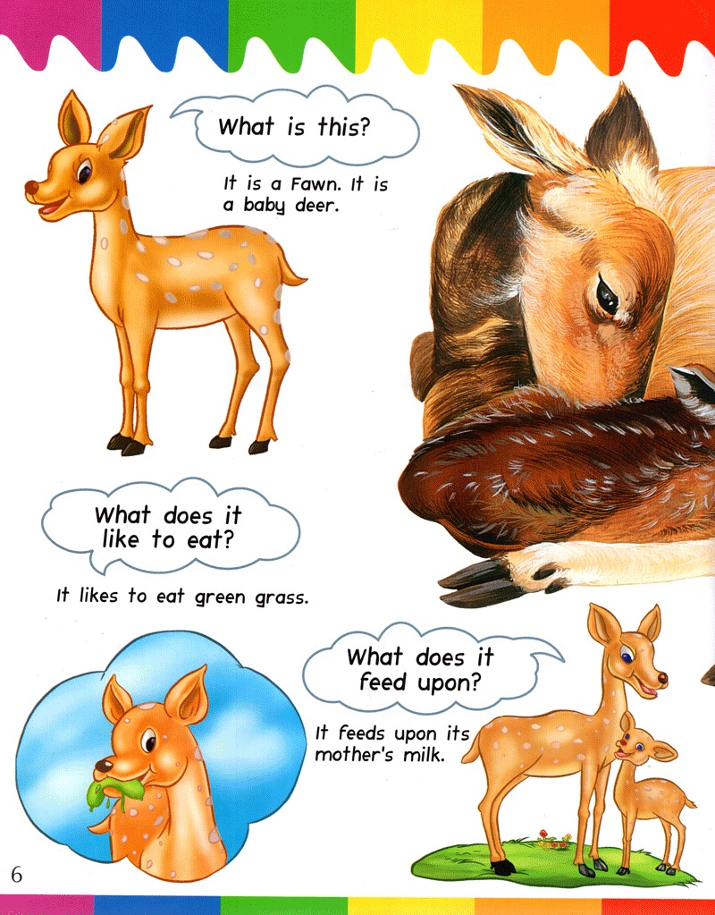 my question and answers - baby animals - Ảnh 6