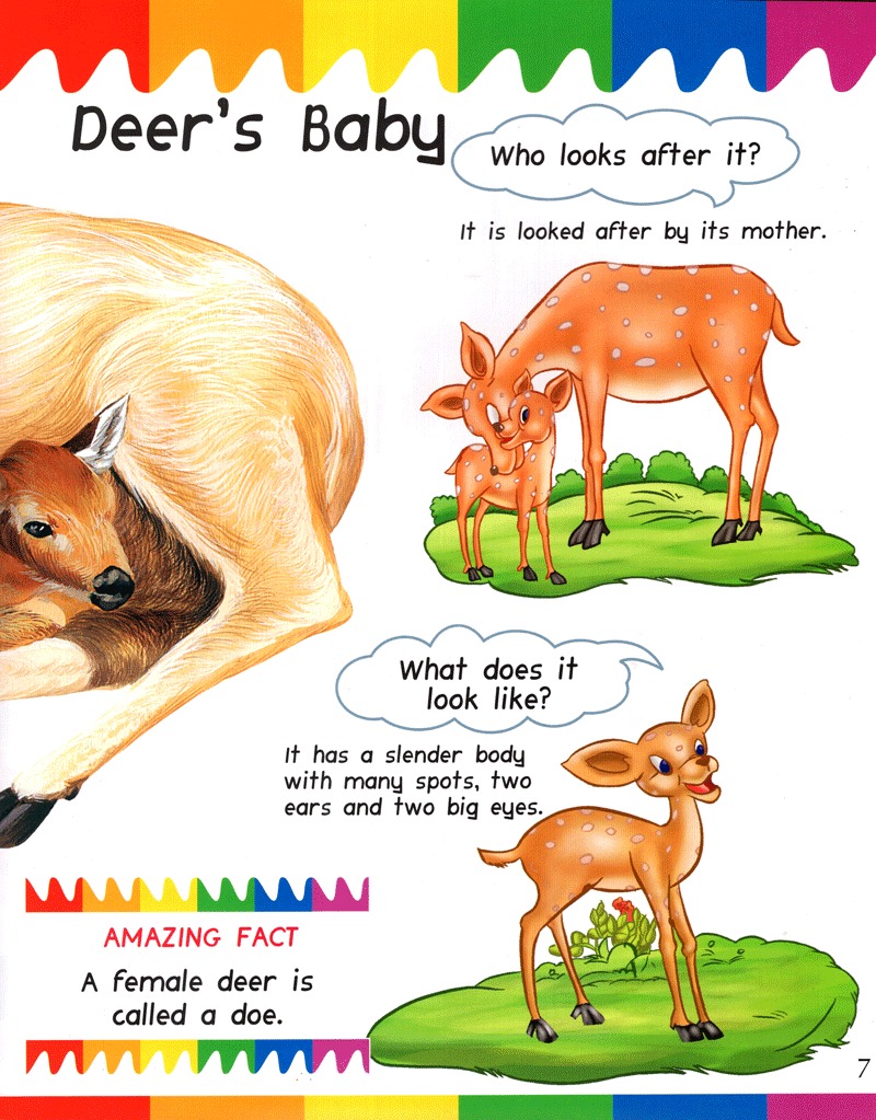 my question and answers - baby animals - Ảnh 7