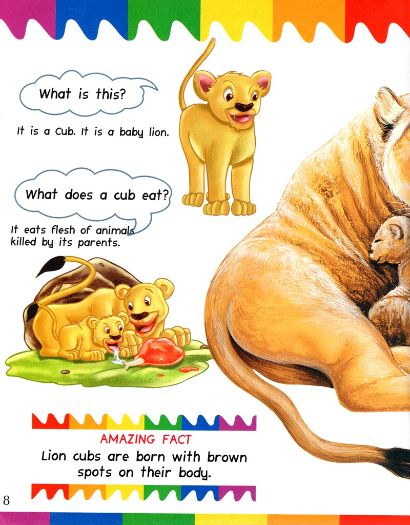 my question and answers - baby animals - Ảnh 8