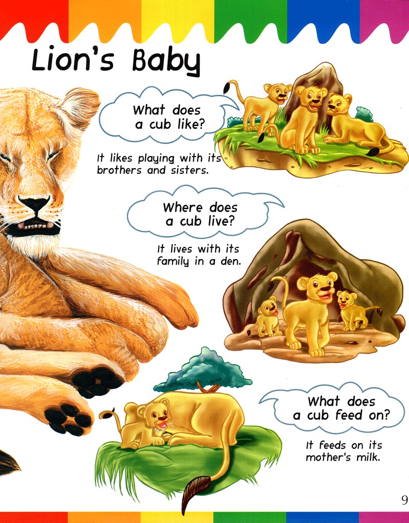 my question and answers - baby animals - Ảnh 9