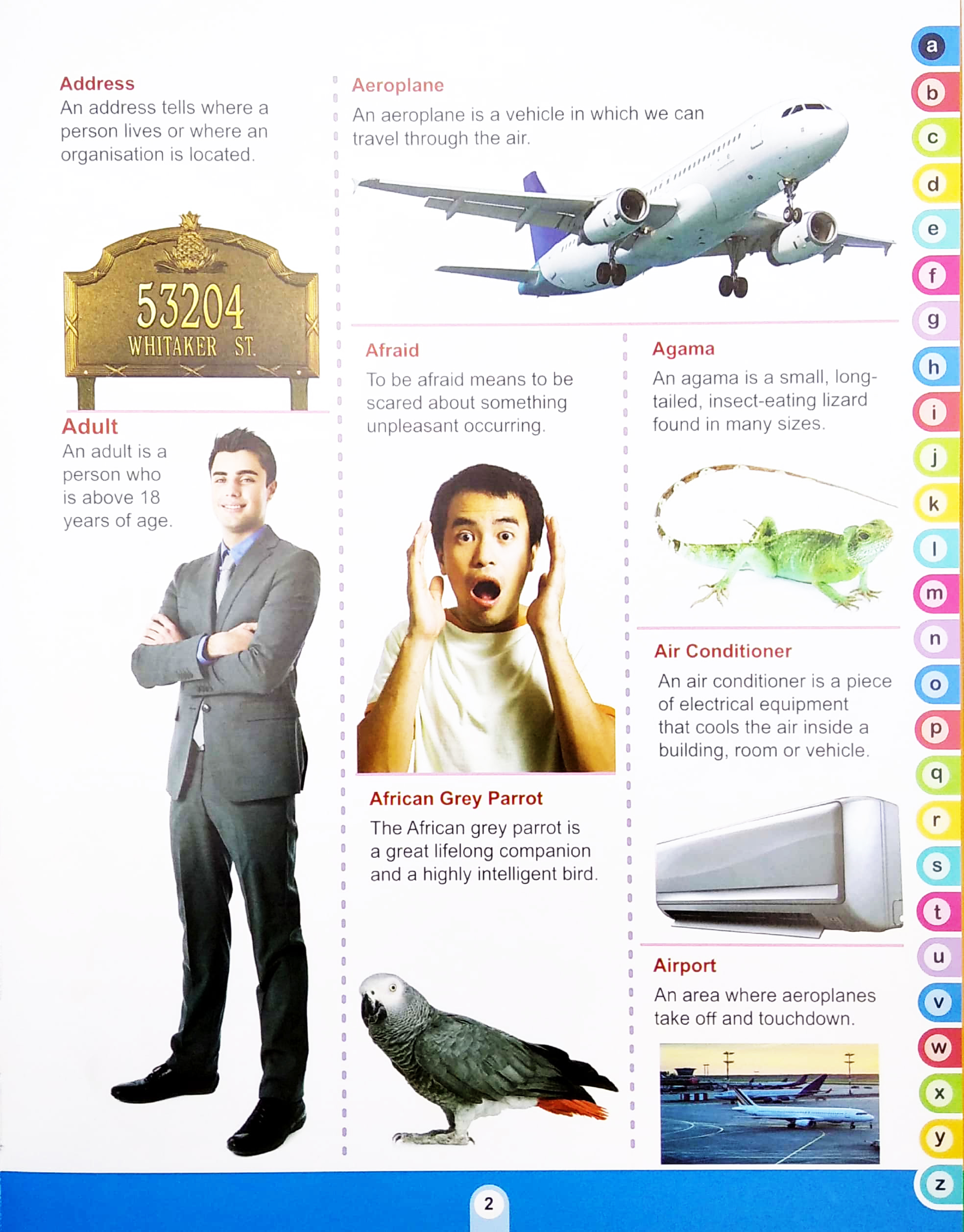 my ultimate picture dictionary - Ảnh 5