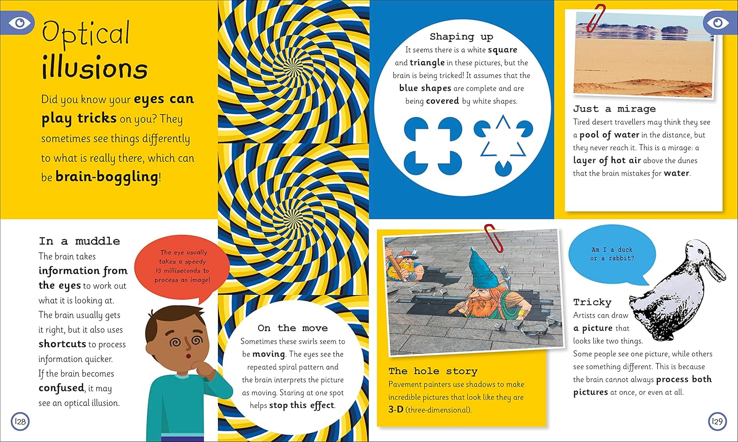 my very important human body - encyclopedias - Ảnh 7