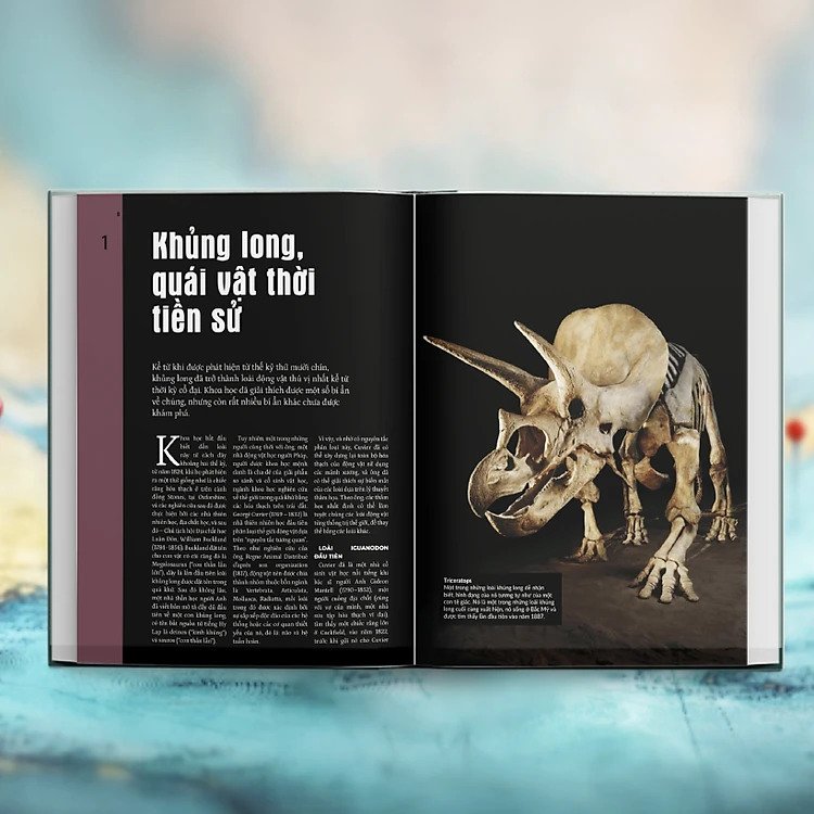 mysteries in history - bí ẩn của lịch sử - Ảnh 4