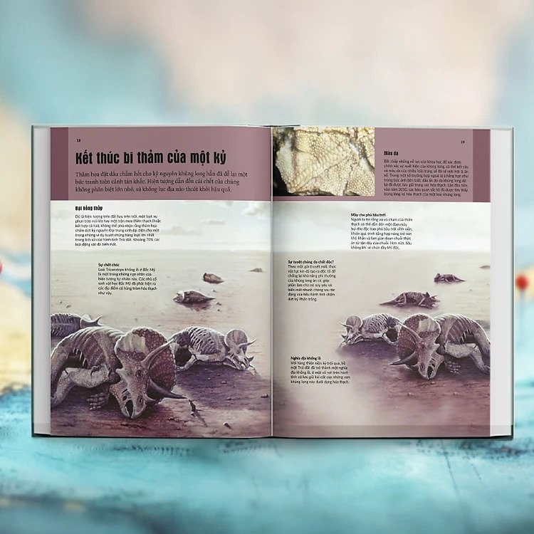 mysteries in history - bí ẩn của lịch sử - Ảnh 6