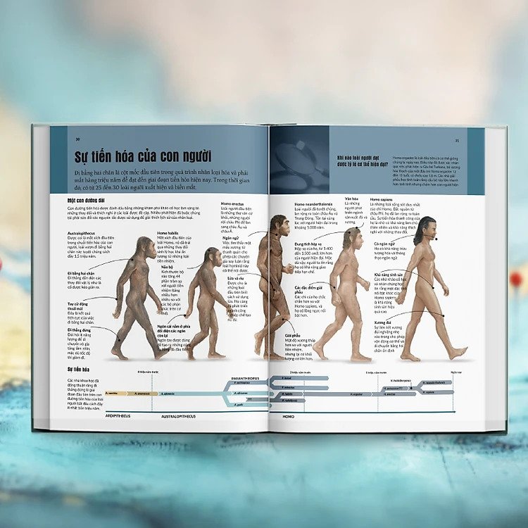 mysteries in history - bí ẩn của lịch sử - Ảnh 8