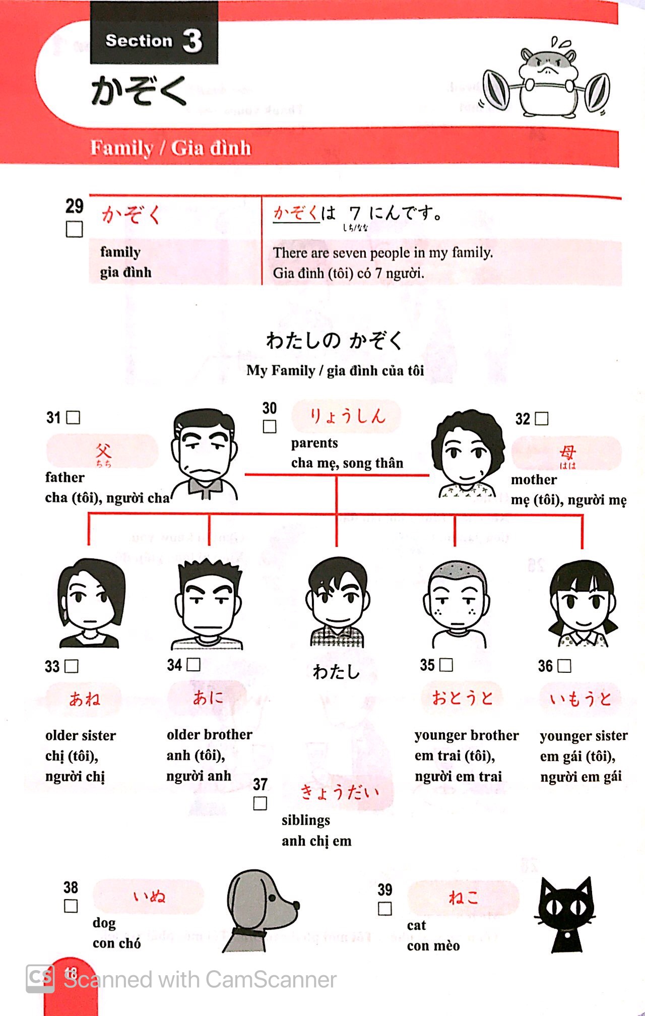 n5 - 1000 từ vựng cần thiết cho kỳ thi năng lực nhật ngữ - Ảnh 11