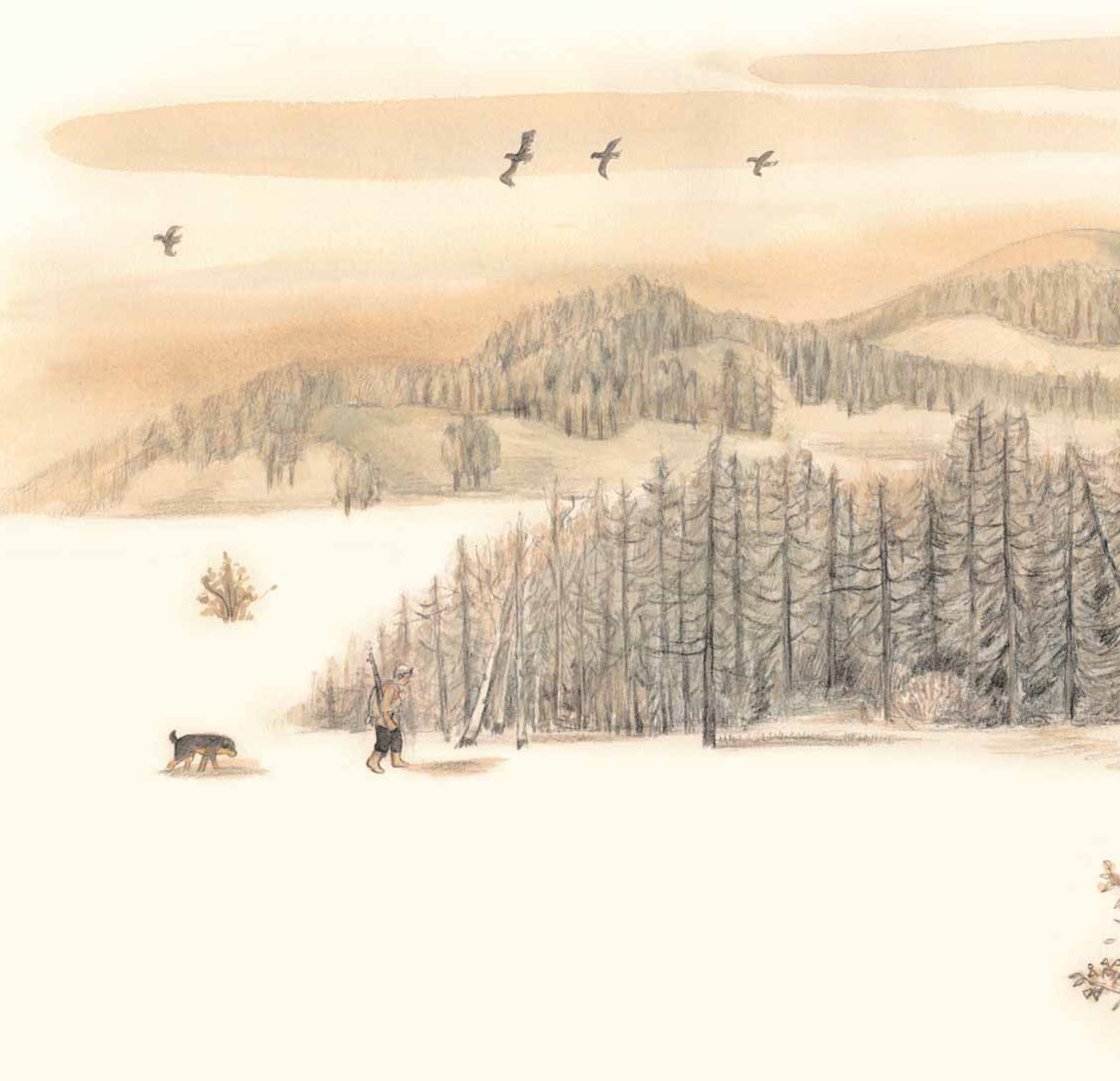 nai sừng tấm và bác thợ săn - bìa cứng - Ảnh 3