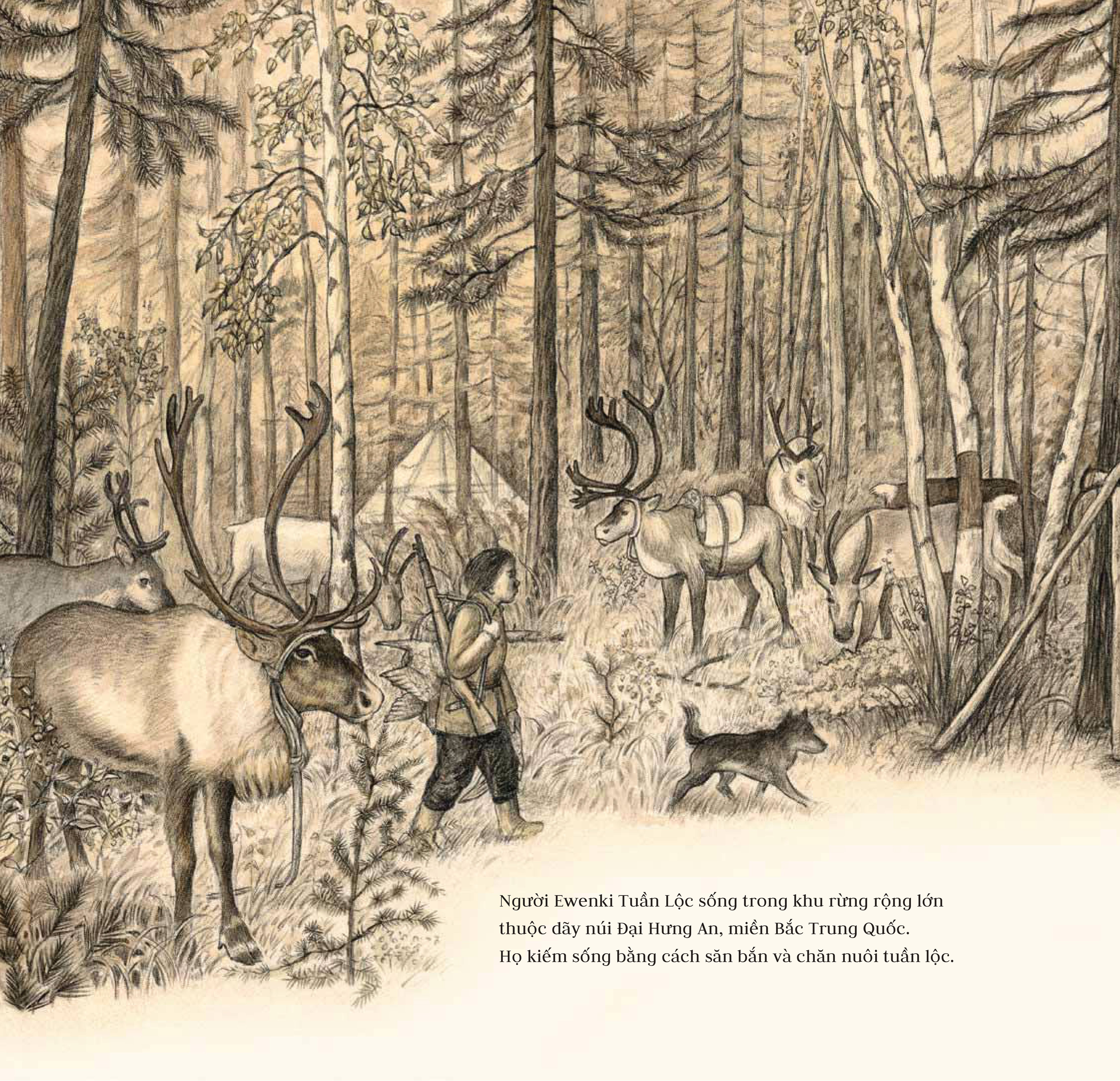 nai sừng tấm và bác thợ săn - bìa cứng - Ảnh 5