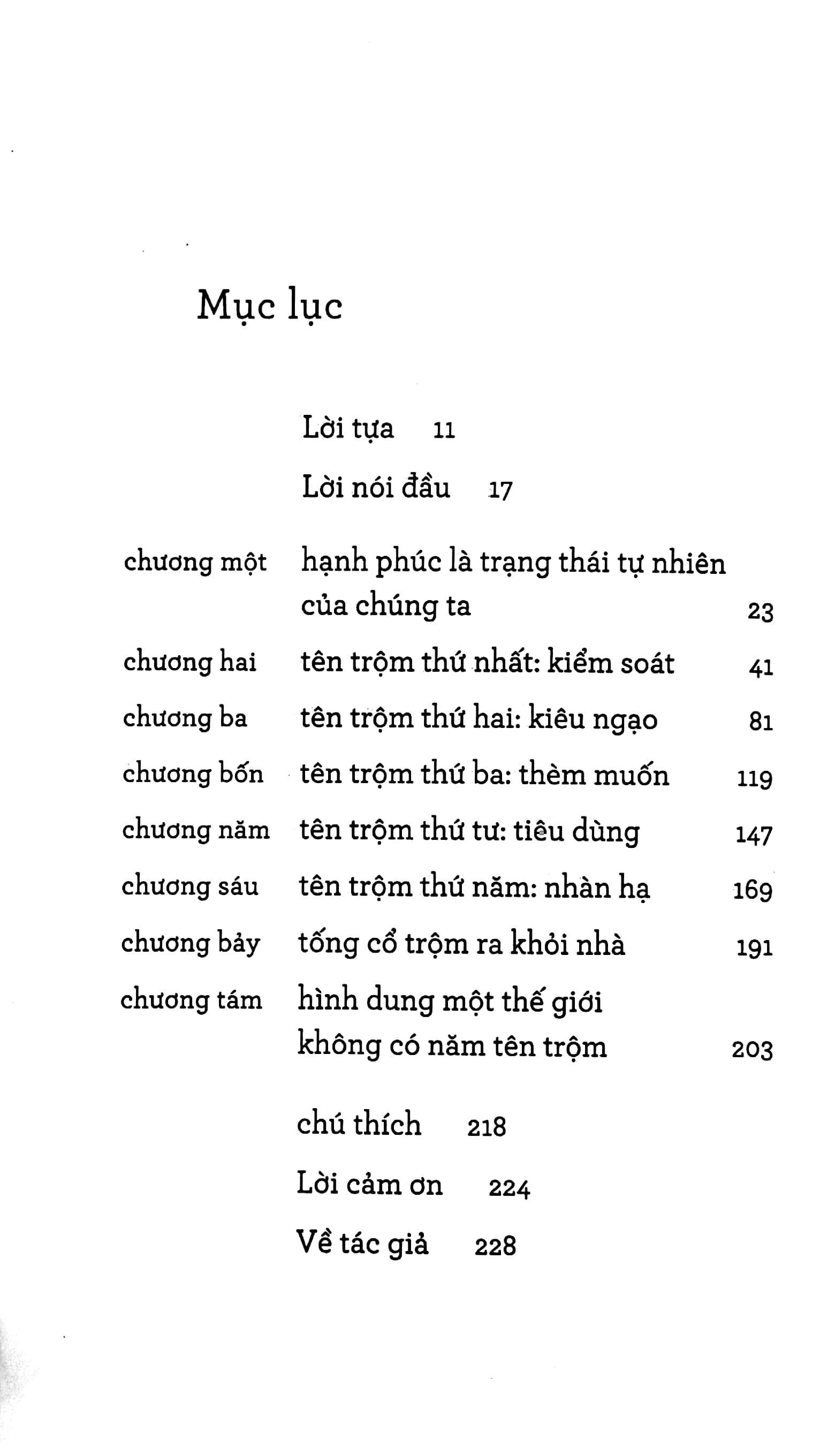 năm kẻ trộm hạnh phúc - the five thieves of happiness - Ảnh 3