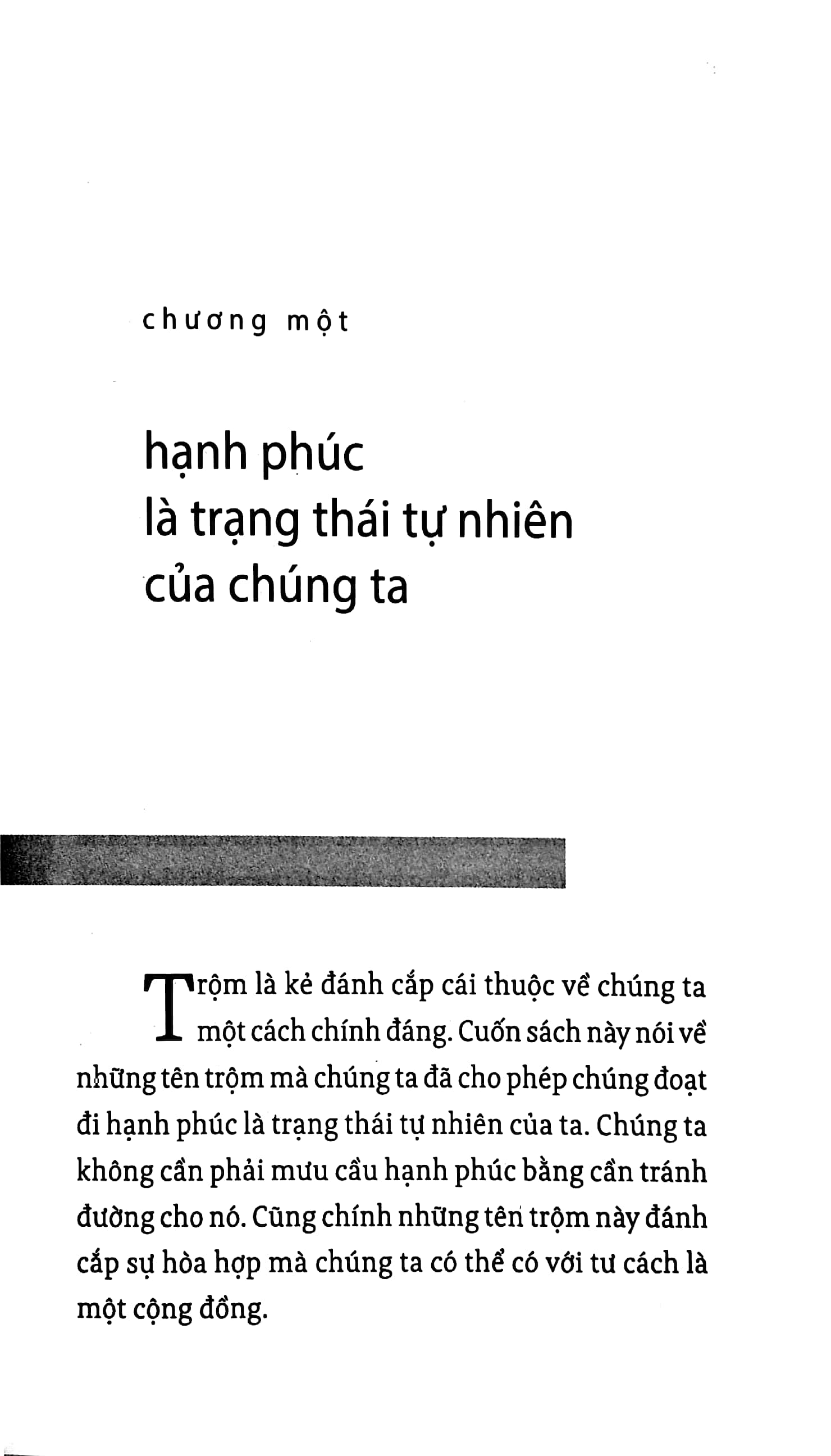 năm kẻ trộm hạnh phúc - the five thieves of happiness - Ảnh 5