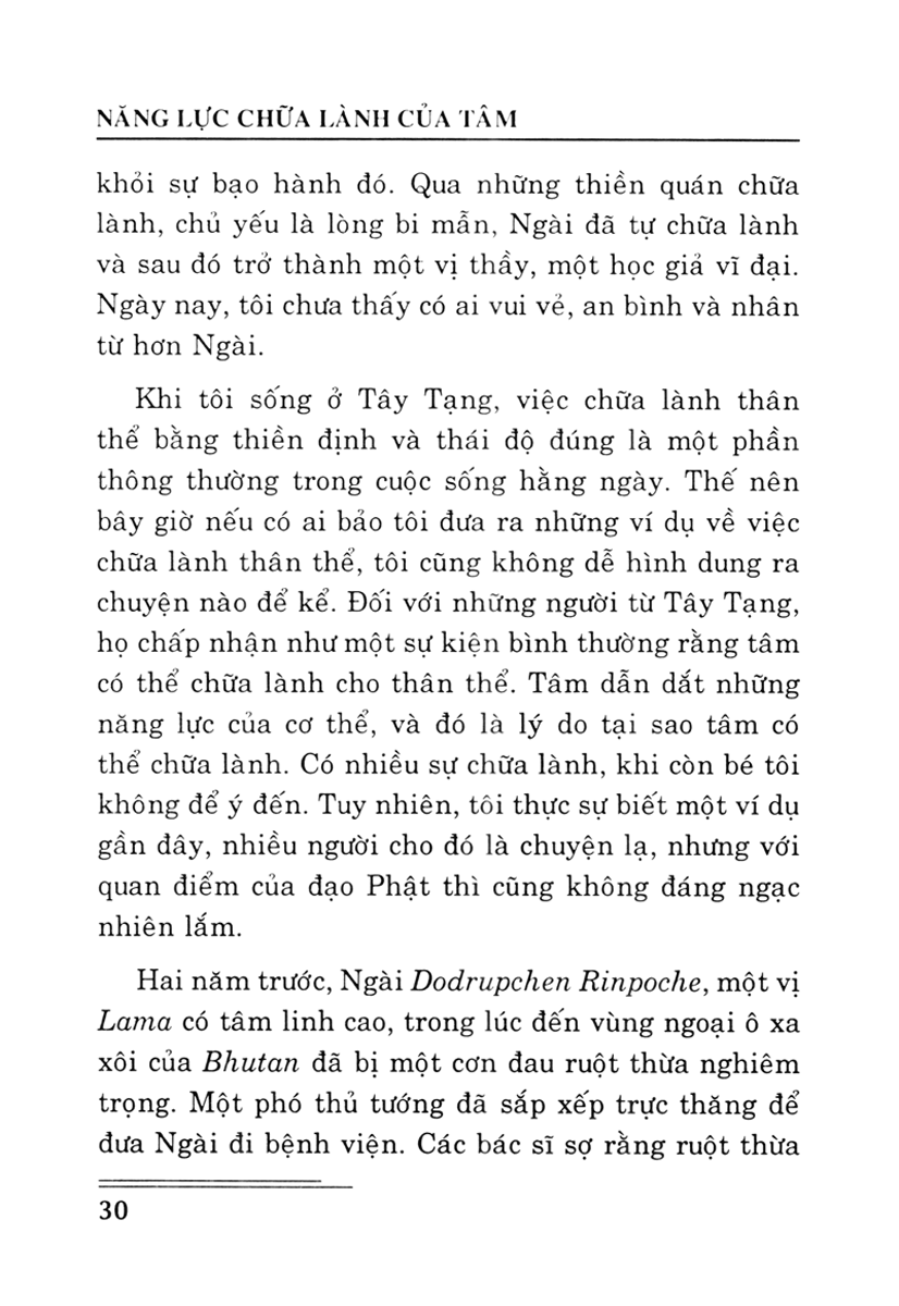 năng lực chữa lành của tâm - Ảnh 10