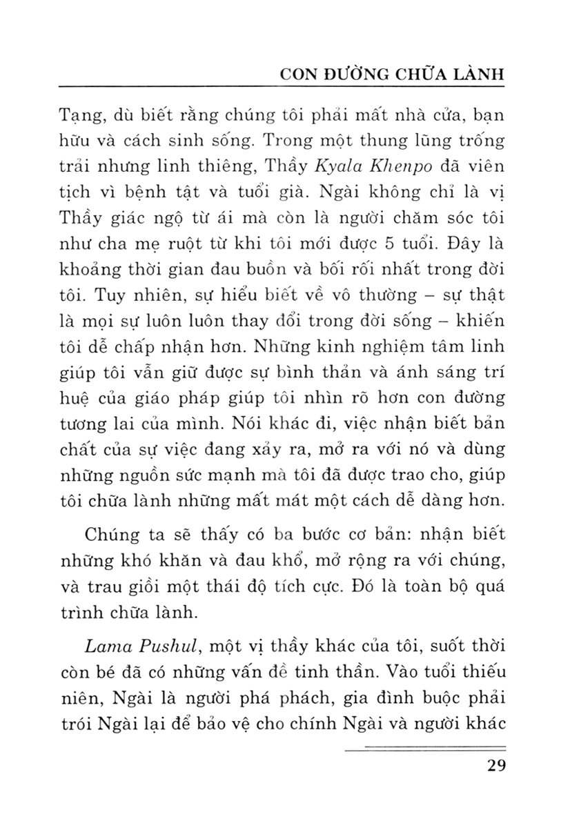 năng lực chữa lành của tâm - Ảnh 9