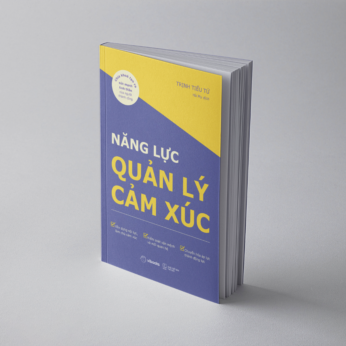 Năng Lực Quản Lý Cảm Xúc - Chìa Khóa Tạo Ra Sức Mạnh Tinh Thần Của Người Thành Công - Ảnh 3