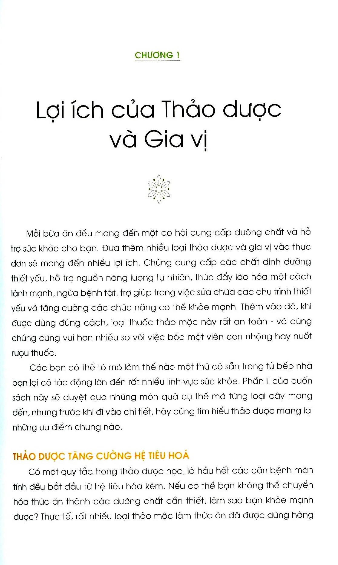 năng lượng sống từ thảo dược - Ảnh 3