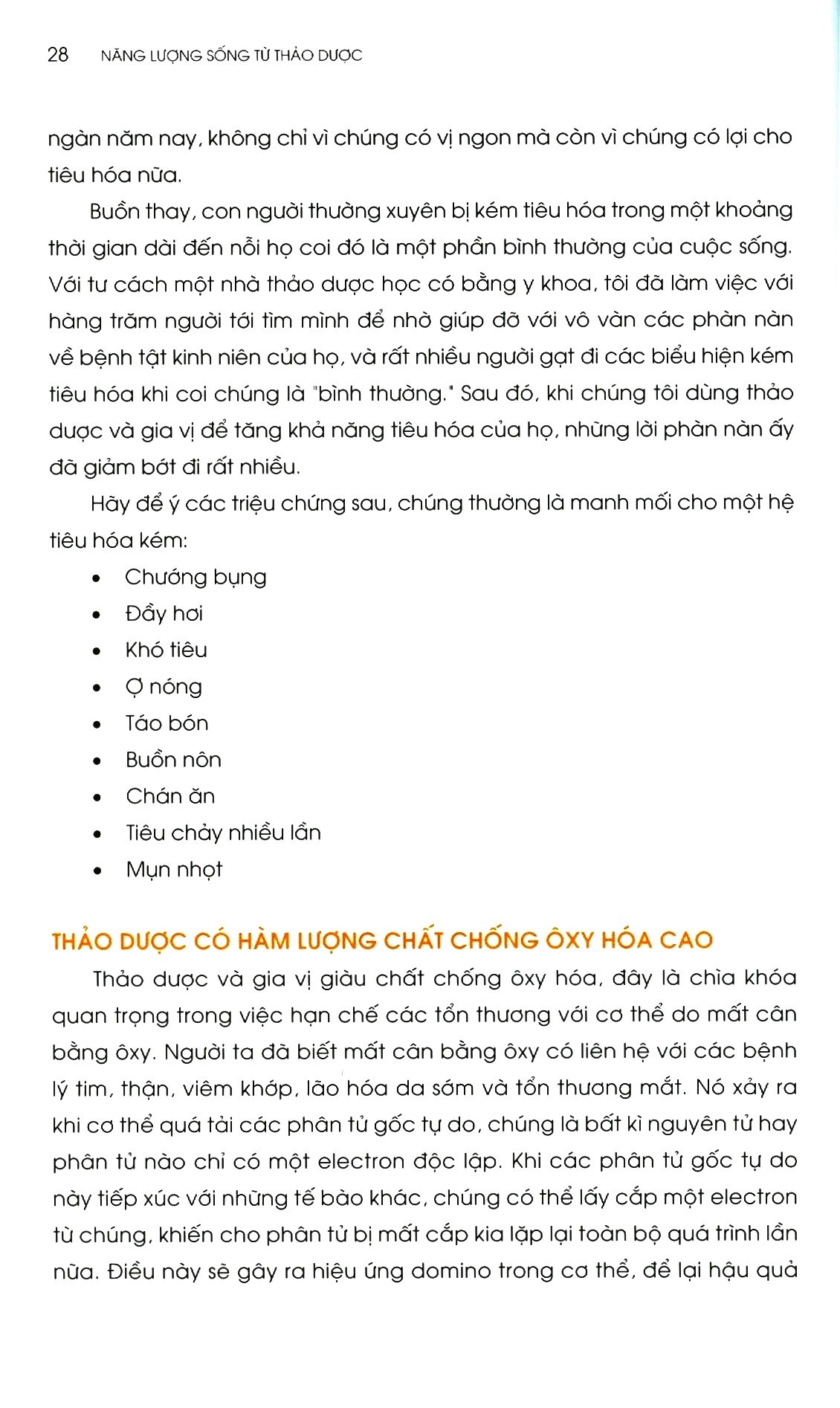 năng lượng sống từ thảo dược - Ảnh 4