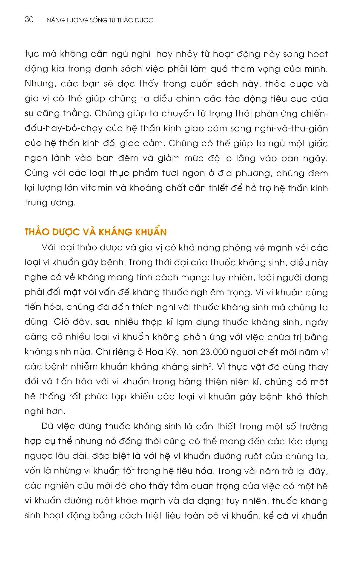 năng lượng sống từ thảo dược - Ảnh 6