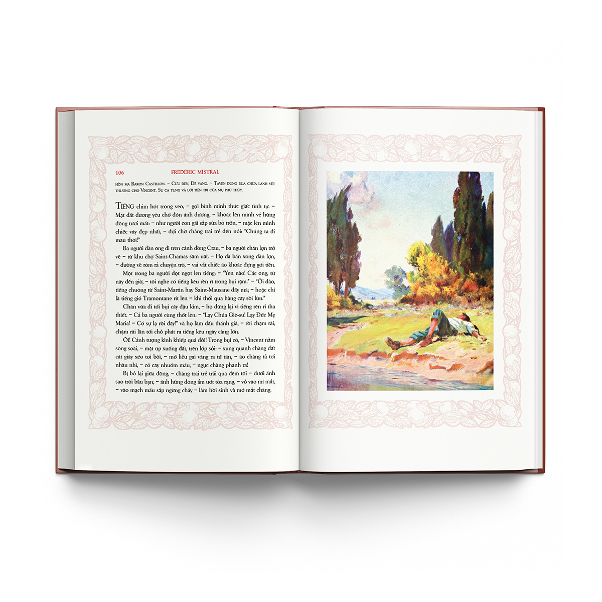 nàng mireille - ấn bản giới hạn - bìa cứng - Ảnh 3