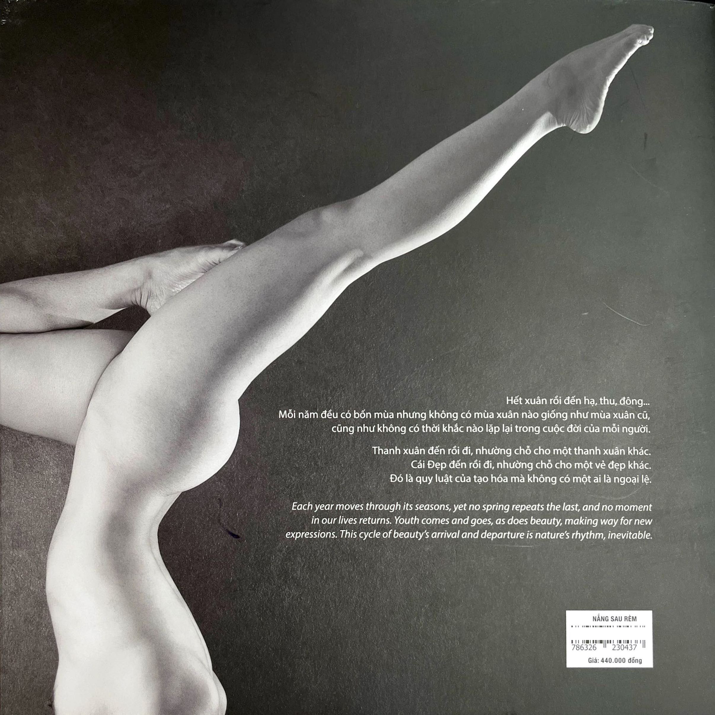 Nắng Sau Rèm - Through The Curtain, Sunshine - Bìa Cứng - Ảnh 11